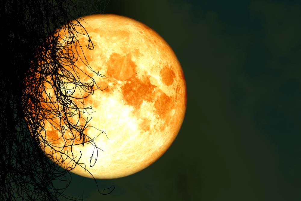 Full Hunter’s Moon: A Halloween Spectacle Over The Peninsula